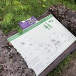 QR code sample panel 
